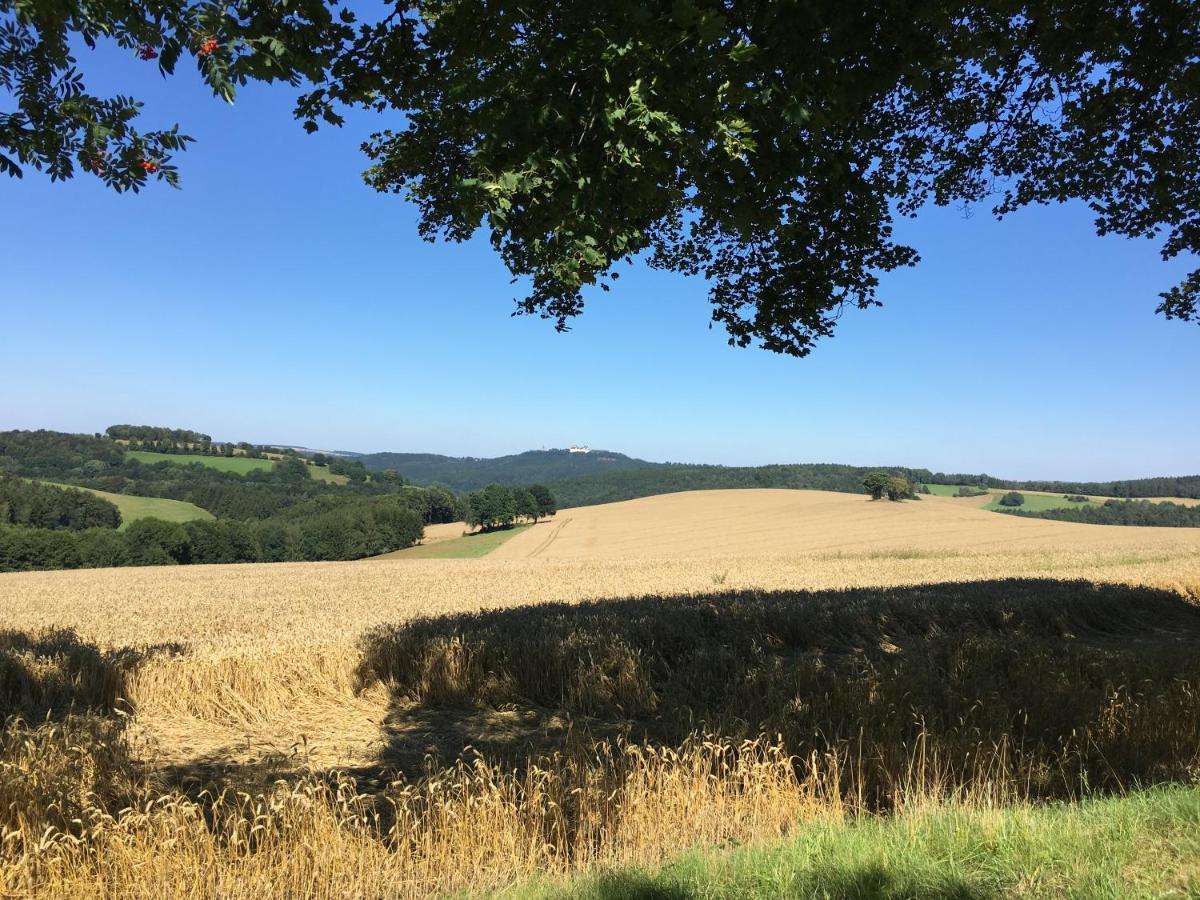 Ferienwohnungen Am Feldrain - Gornau Im Erzgebirge Zschopau エクステリア 写真