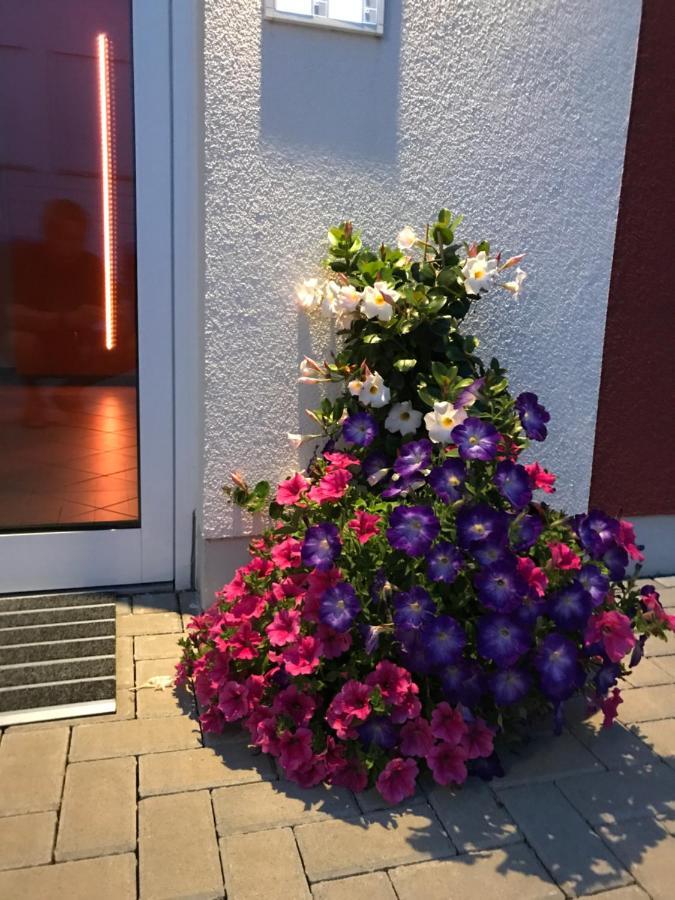 Ferienwohnungen Am Feldrain - Gornau Im Erzgebirge Zschopau エクステリア 写真